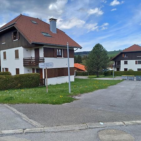 Le Chamois Mont D'Or Apartment เมตาบิเย ภายนอก รูปภาพ