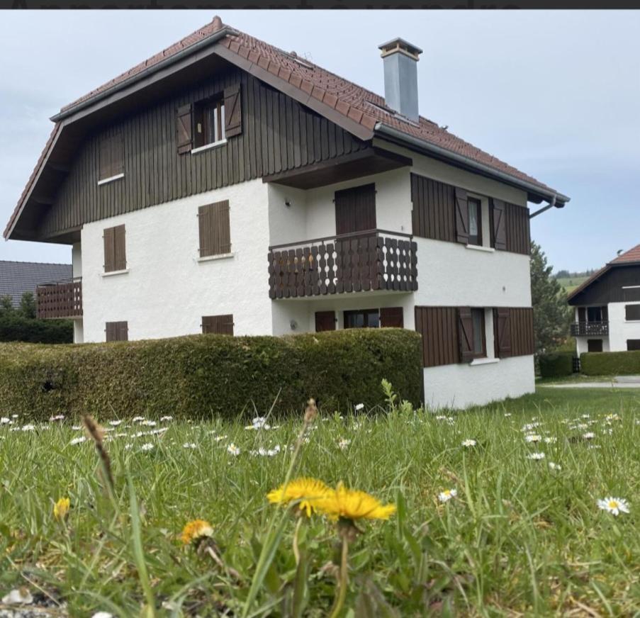 Le Chamois Mont D'Or Apartment เมตาบิเย ภายนอก รูปภาพ